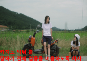 카지노 먹튀