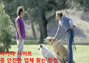 바카라 사이트